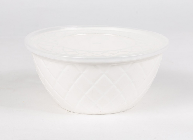 کاسه درب دار آناناسی Polynik