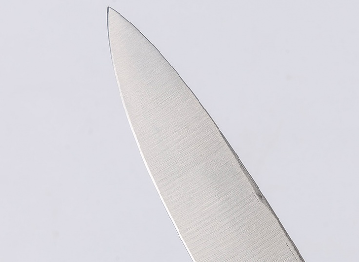 چاقو آشپزخانه Coral