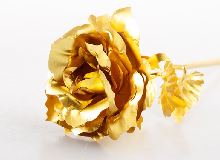 گل رز طلایی Rose Story