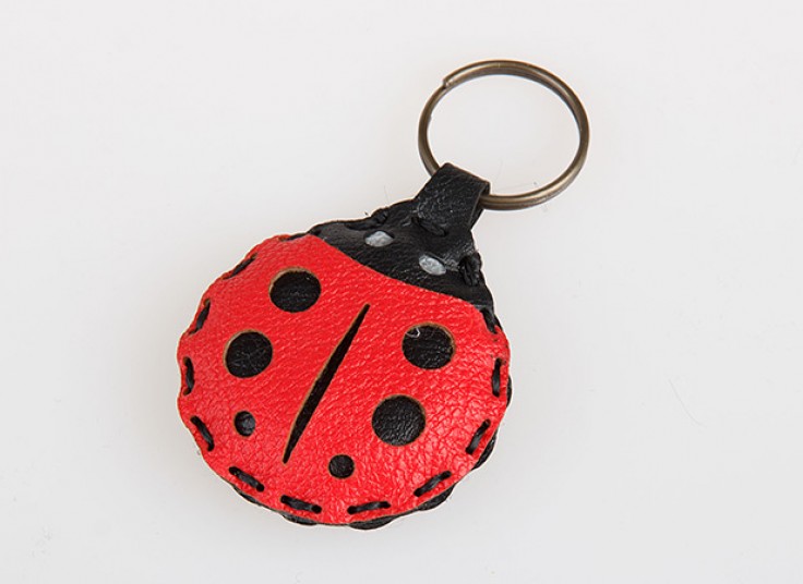 جاسوییچی کادویی