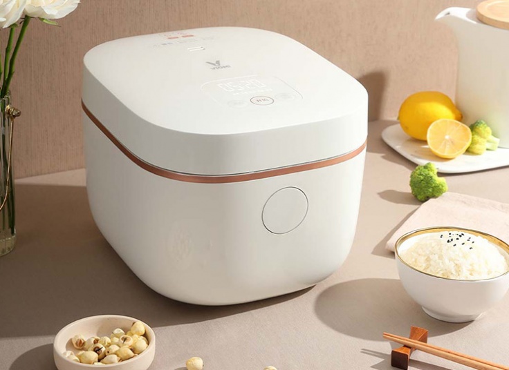 پلوپز هوشمند شیائومی مدل Viomi VXFB30C-1