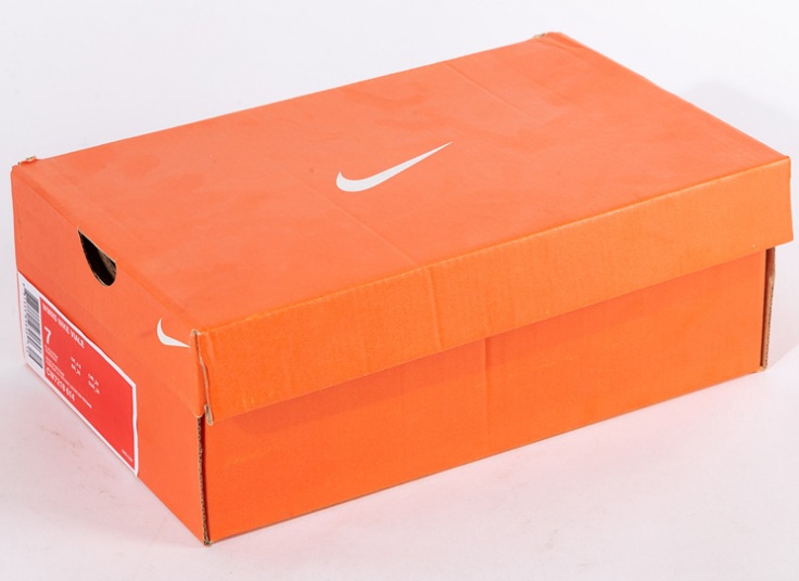 کتانی زنانه Nike Air Zoom Pegasus 39