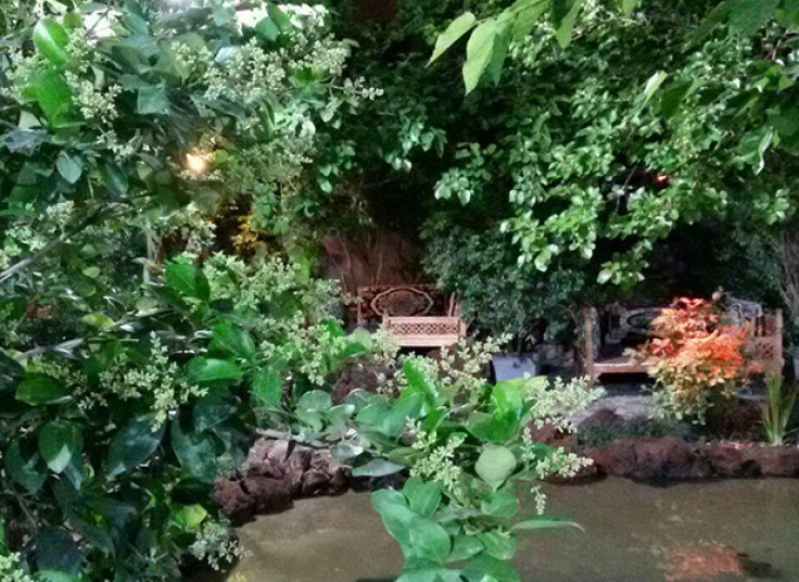 سرویس افطار و جوجه کباب رستوران برکه