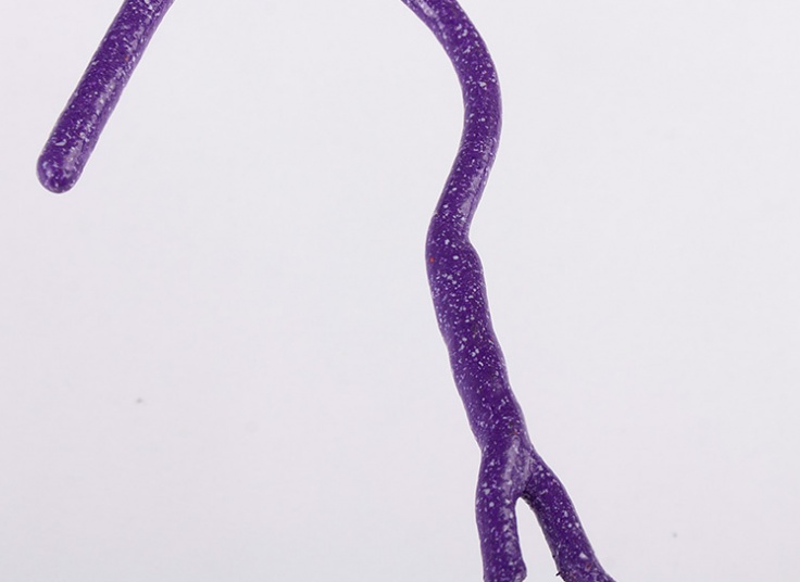 چوب لباسی روکش دار jinsu