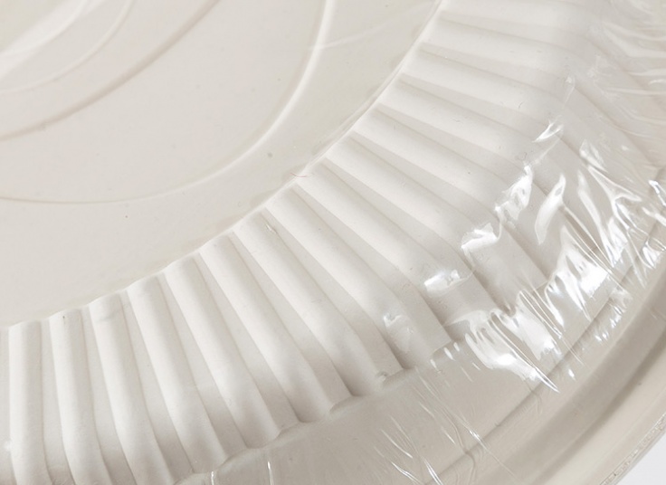 ظروف یکبار مصرف گیاهی آنی