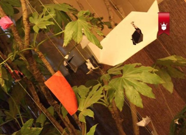 صبحانه کافه گاتا