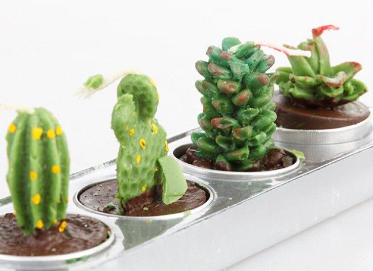 شمع وارمر تزئینی