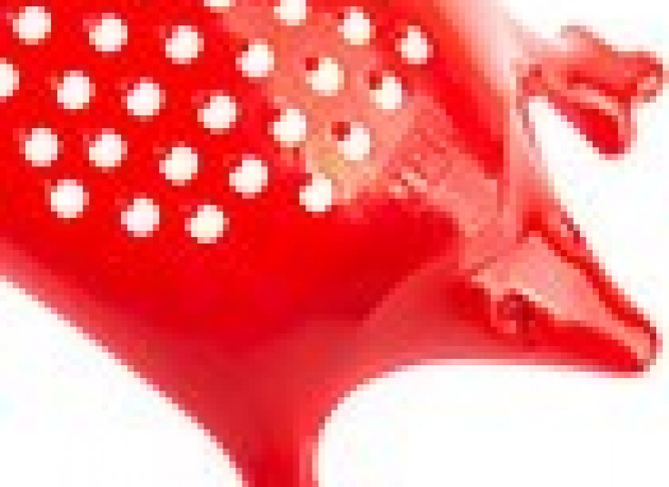 رنده جوجه تیغی