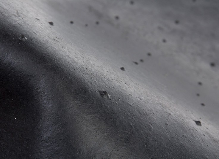 پادری موکتی