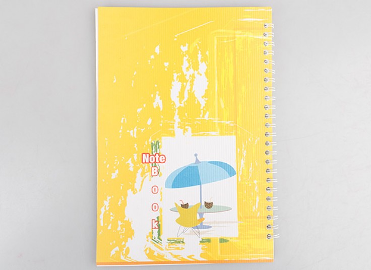 دفتر نقاشی سیمی طرحدار