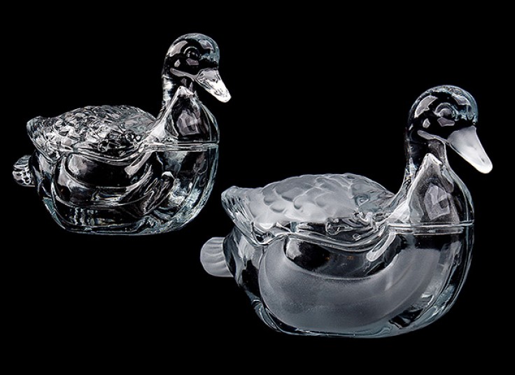 شکلات خوری قو