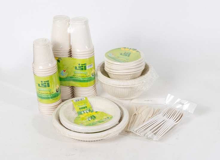 ظروف یکبار مصرف گیاهی آنی