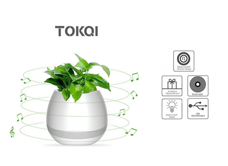 اسپیکر بلوتوثی و گلدان موزیکال Tokqi