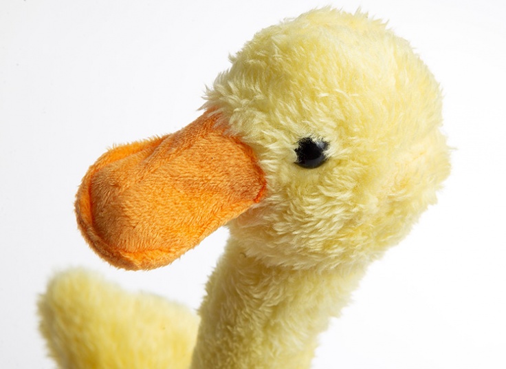 عروسک اردک موزیکال و سخنکو