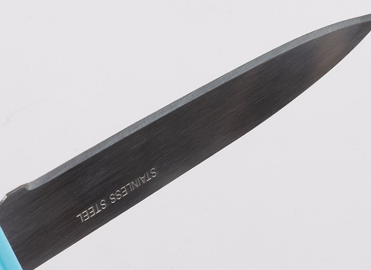 چاقو غلاف دار