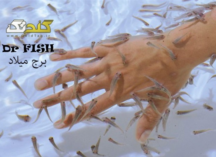 دکتر فیش برج میلاد